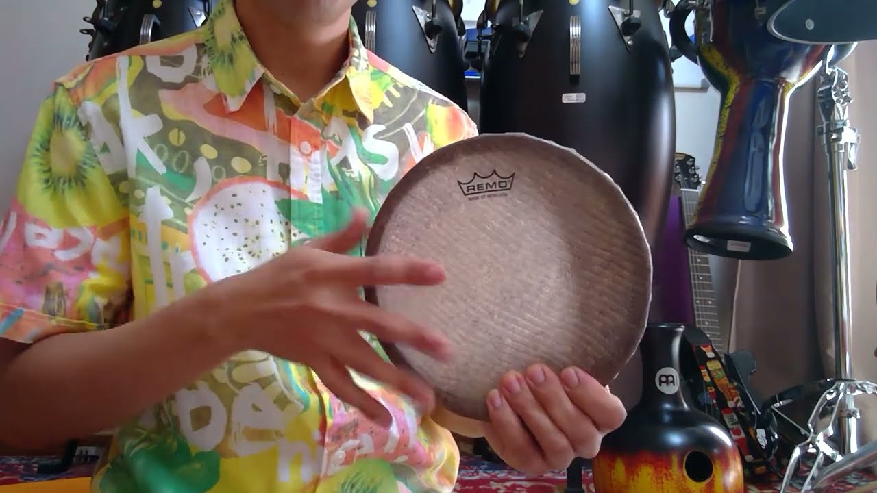 REMO Kanjira Indian percussion