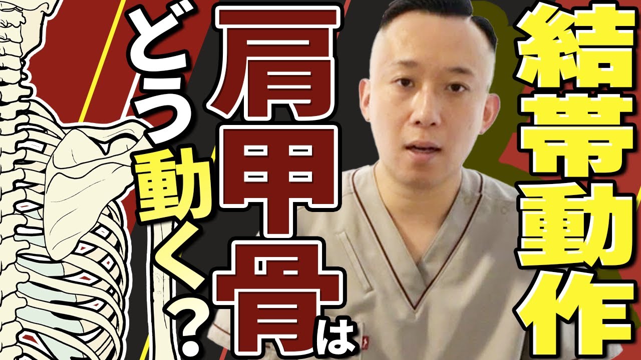 【運動学的な観点で】結帯動作制限に有効な棘下筋に対するアプローチ