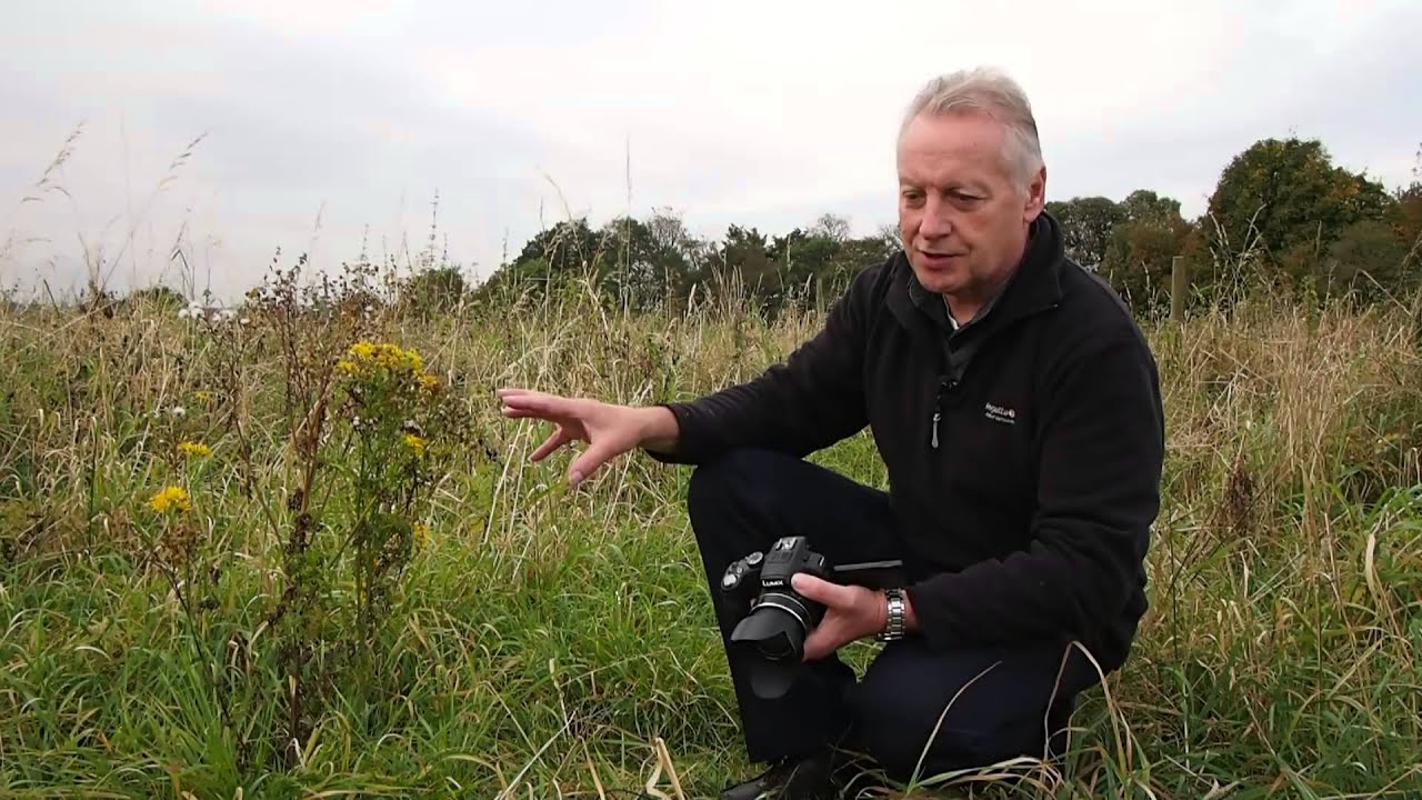 Extreme Close Up Photography with your Panasonic Lumix Bridge camera