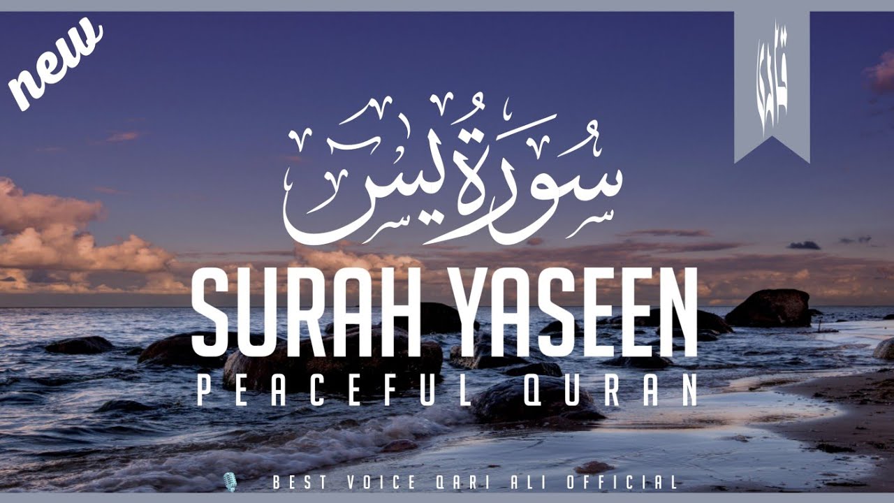 Surah Yaseen ( Yasin ) سورۃ یس | Heart Touching Quran recitation of Surah Yasin | Qari Ali official 