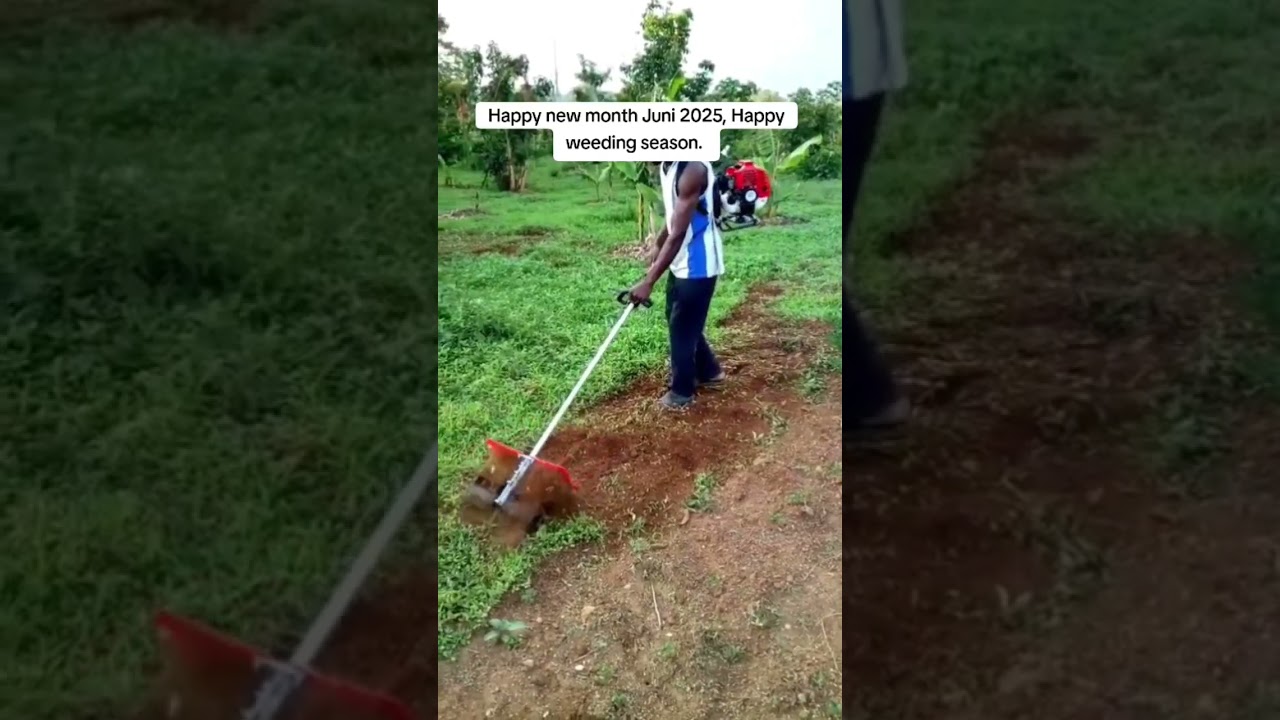 🚜 Modern Weeding Machine in Action | Red Tails Group Ltd | Farm Productivity Tool