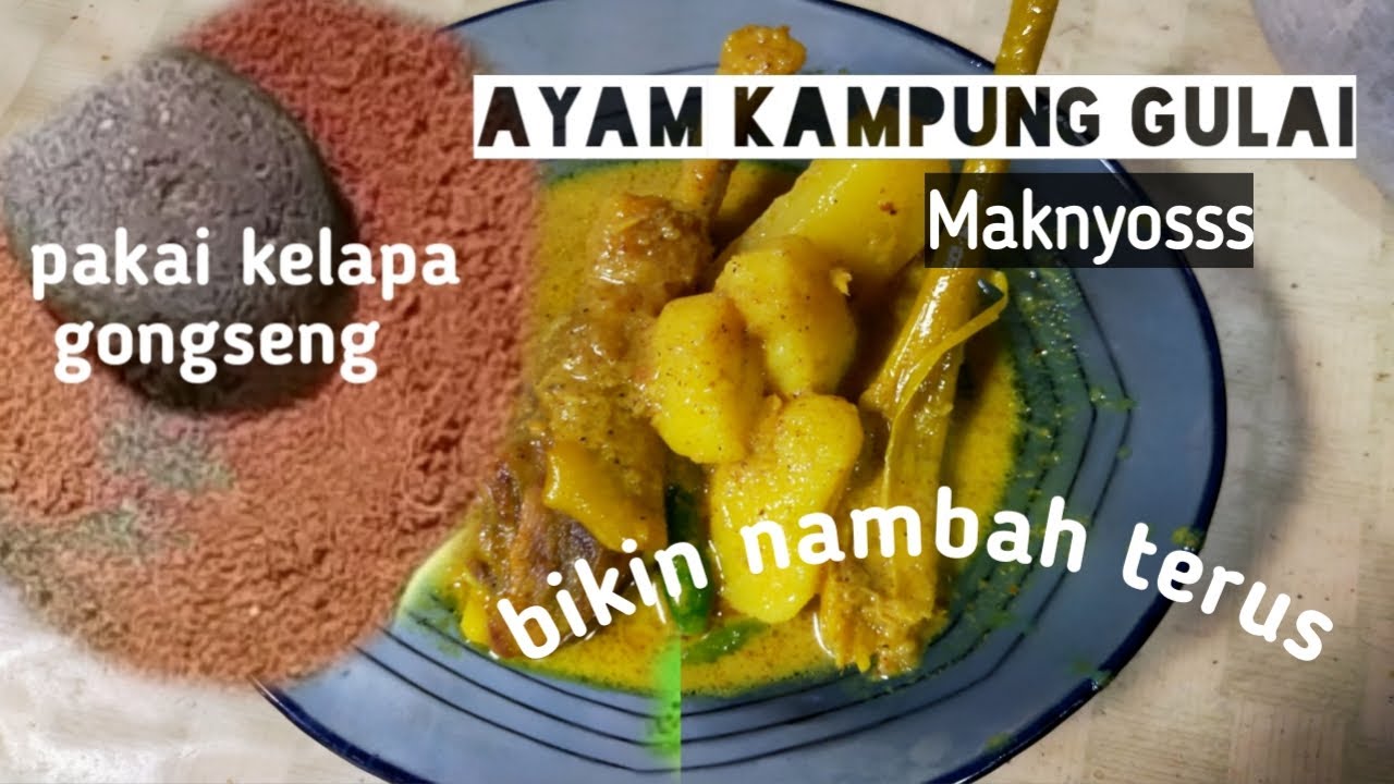 CARA MEMASAK GULAI AYAM KAMPUNG / gulai ayam pakai kelapa gongseng
