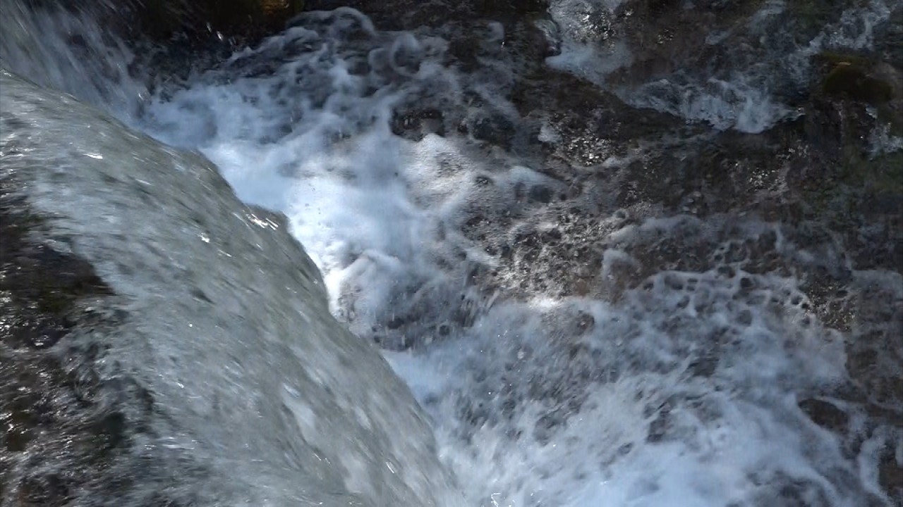 Giornata Mondiale dell'Acqua: lo studio di Legambiente