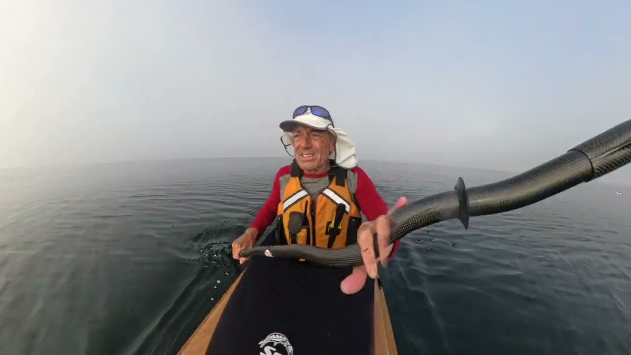 PaddleQuest2024