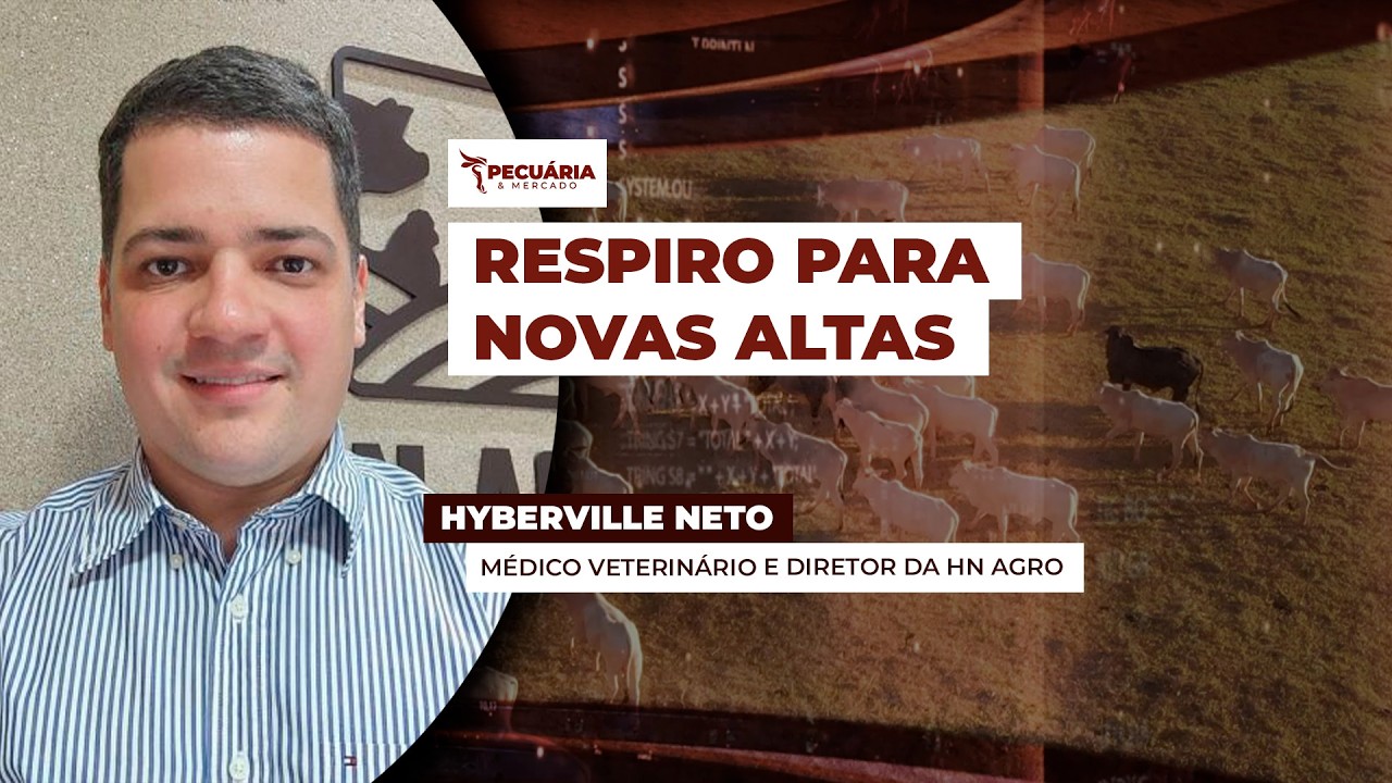 Ritmo de alta da arroba diminui, mas não deve interferir na trajetória positiva dos preços do boi..