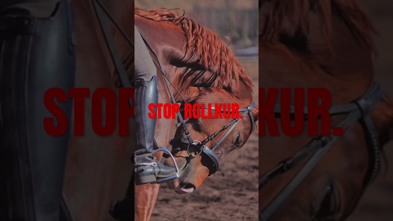 THIS SHOULDNT BE DEBATABLE. STOP HORSE ABUSE. #stoprollkur #stophorseabuse