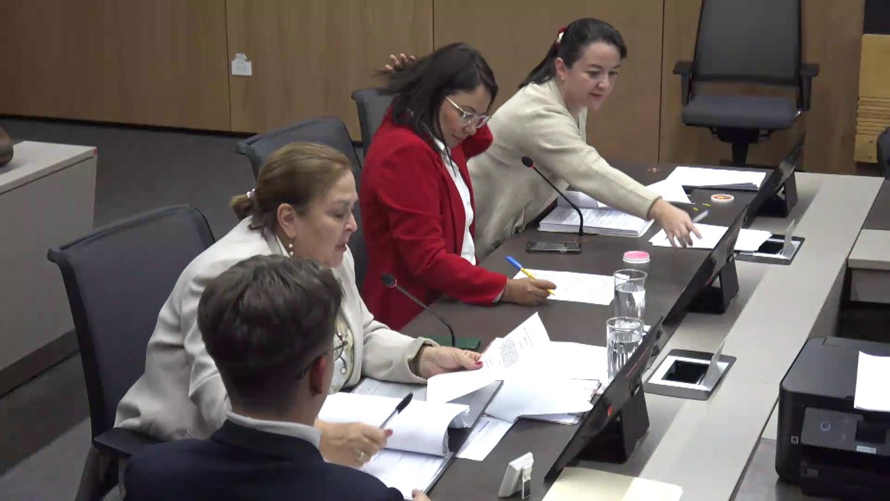Comisión de Redacción, 09 febrero 2026