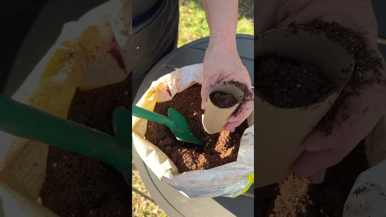 Gardening with Toilet Paper Rolls #garden #gardening #seeds #plants