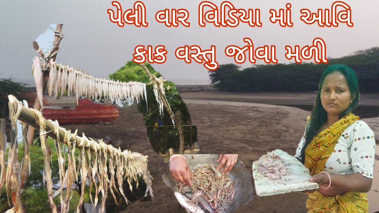 પેલી વાર વિડિયા માં આવિ કાક વસ્તુ જોવા મળી 