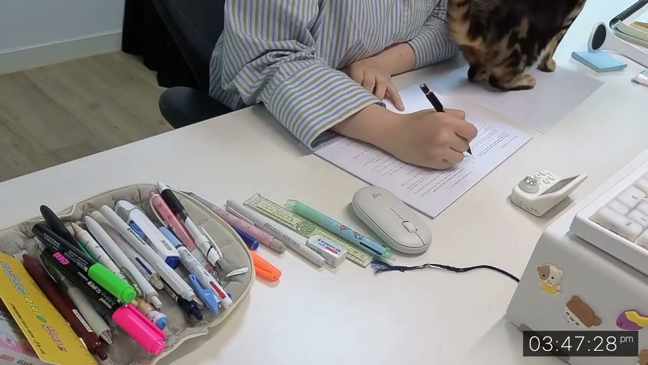 [260308] study with me 🫧 brown noise + realsound | CPLA | D-76 ₊˚⊹ᰔ