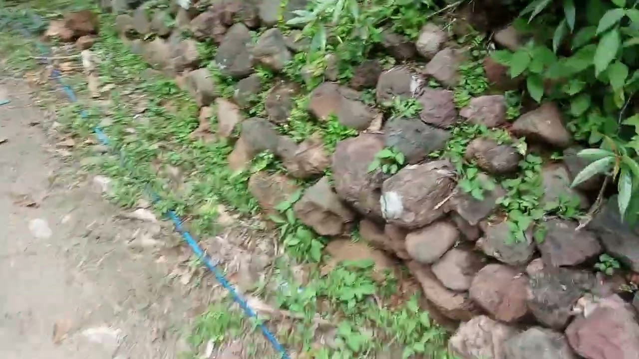 Level 11.20