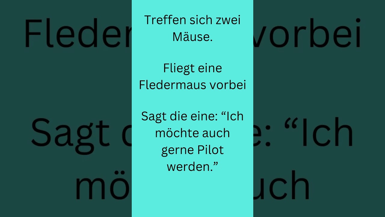 2 M&auml;use #lustig #funny #witze