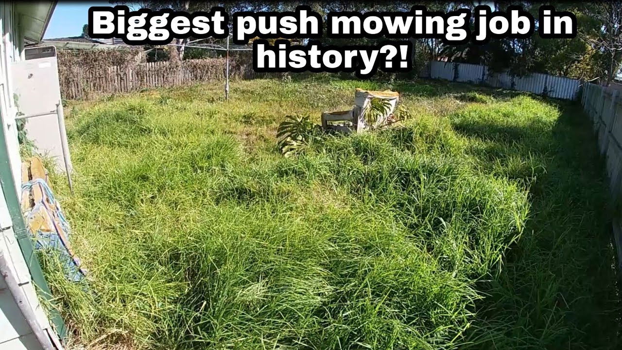 The MOST DIFFICULT LAWN I have ever MOWED!!!