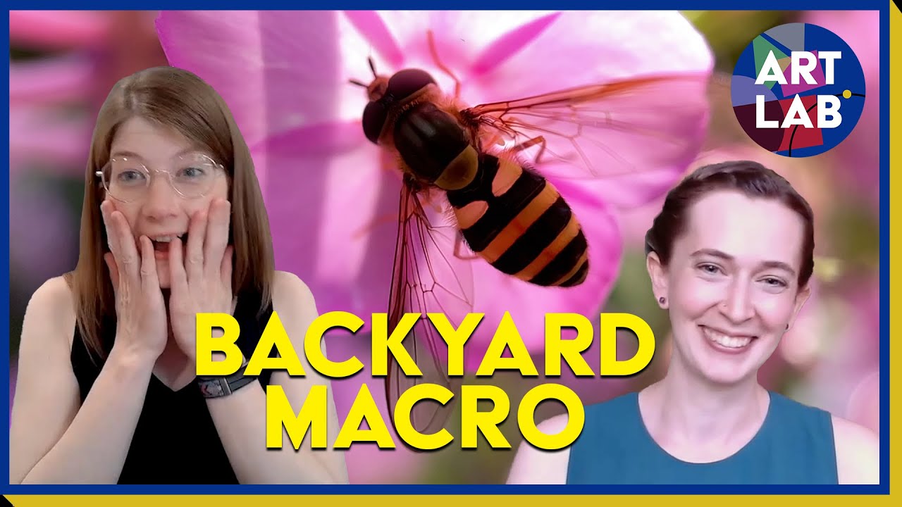 What's happening in my garden?! || Emily Graslie's ART LAB Ep. 03