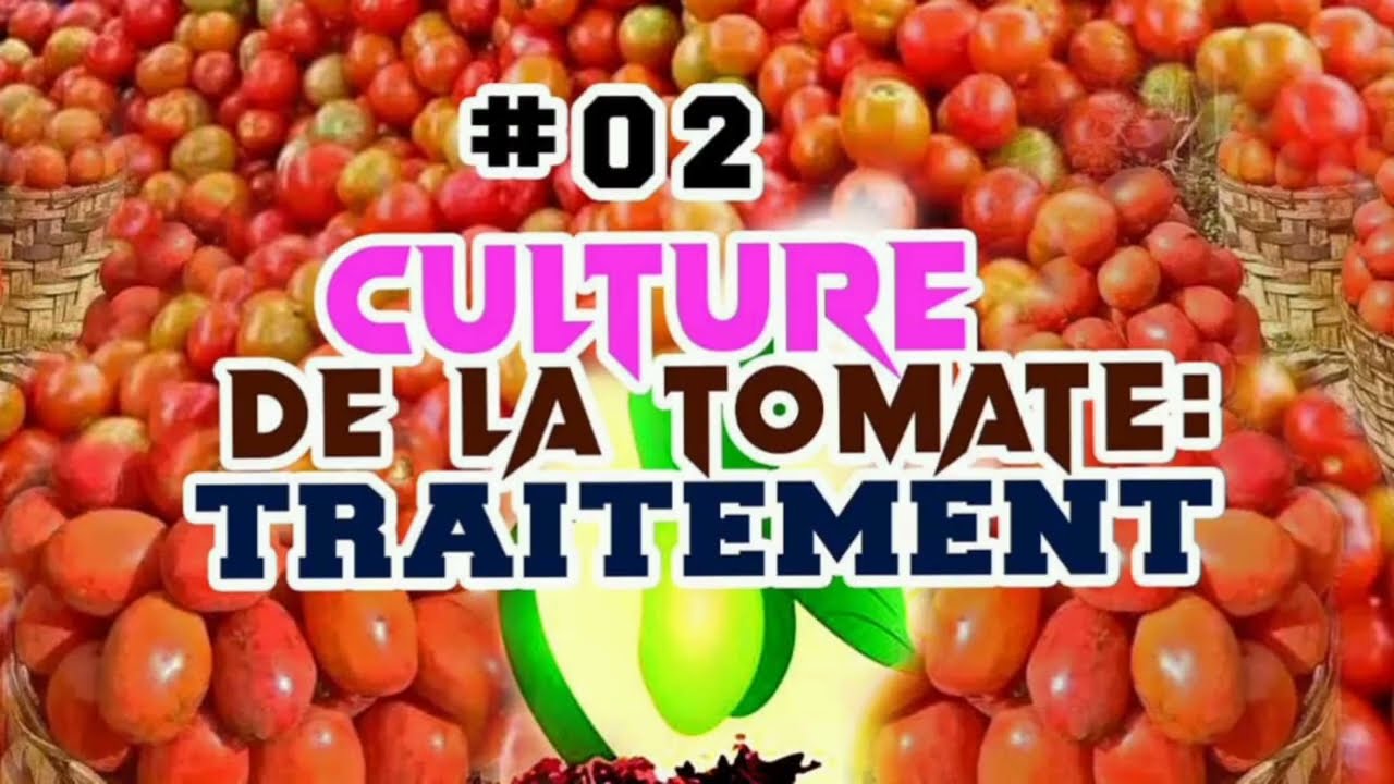 Guide Complet pour le Traitement Phytosanitaire des Tomate