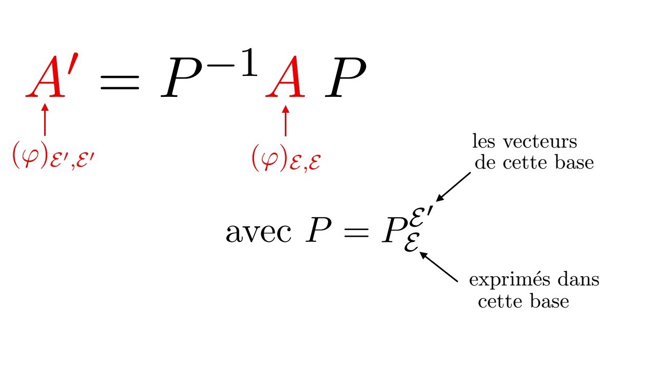 Matrices et applications lin&eacute;aires 4 - Changements de bases