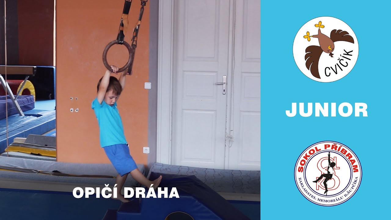 Cvičík Junior - Opičí dráha #1