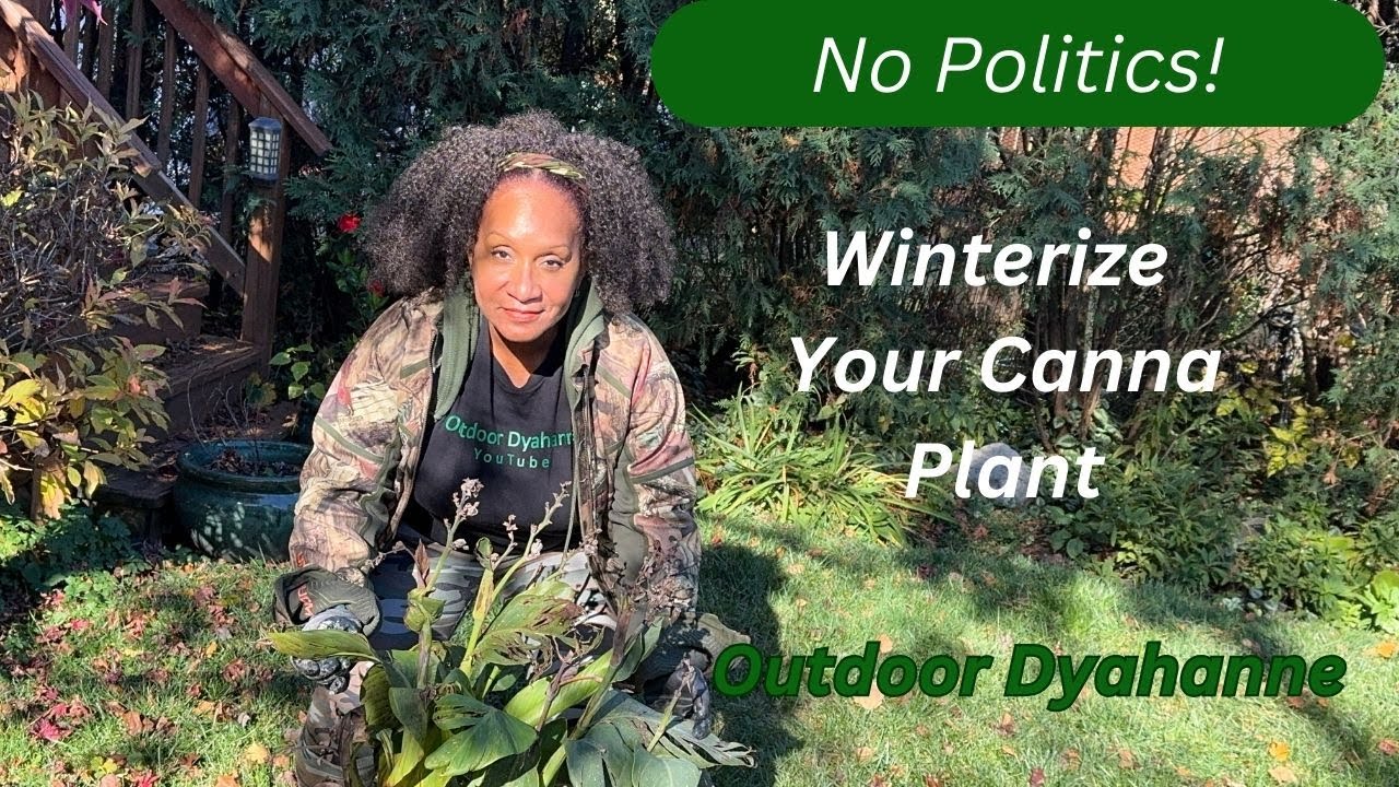 End of Summer & Canna Winter Storage 2024