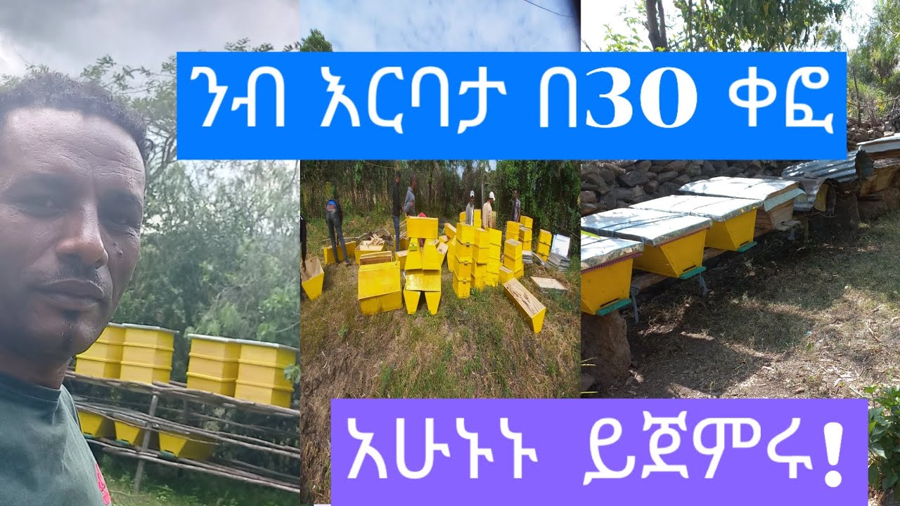 በአዋጪ የንብ እርባታ ቢዝነስ፣ የማይታመን ትርፍ የግኙ!