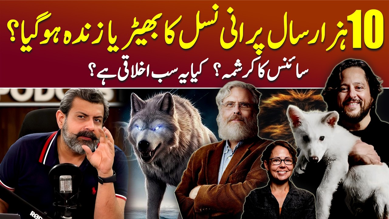 How Colossal Biosciences Cloned the First Dire Wolf - Podcast with&nbsp;Nasir&nbsp;Baig