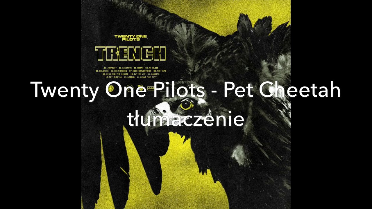 Twenty One Pilots - Pet Cheetah polskie tłumaczenie pl lyrics