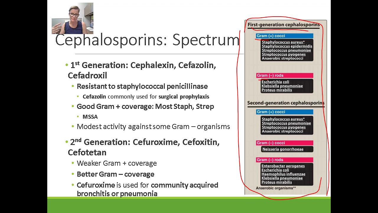 Pharmacology: Cephalosporins