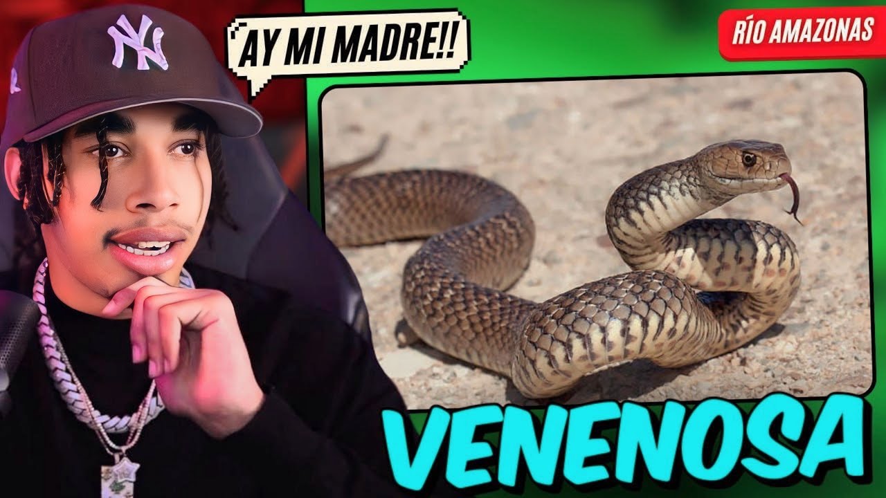 RDjavi Reacciona | RÍO AMAZONAS es MÁS PELIGROSO de lo que CREÍAS 🌿😨