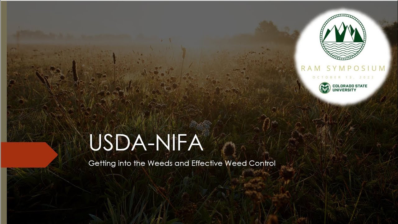 2022 RAM Symposium: USDA NIFA - Getting into the Weeds and Effective Weed Control