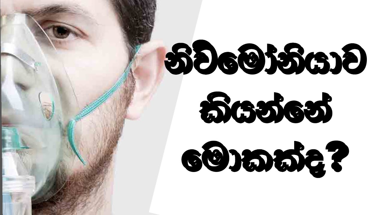 නිව්මෝනියාව ගැන සියල්ල සරළව .... Pneumonia #