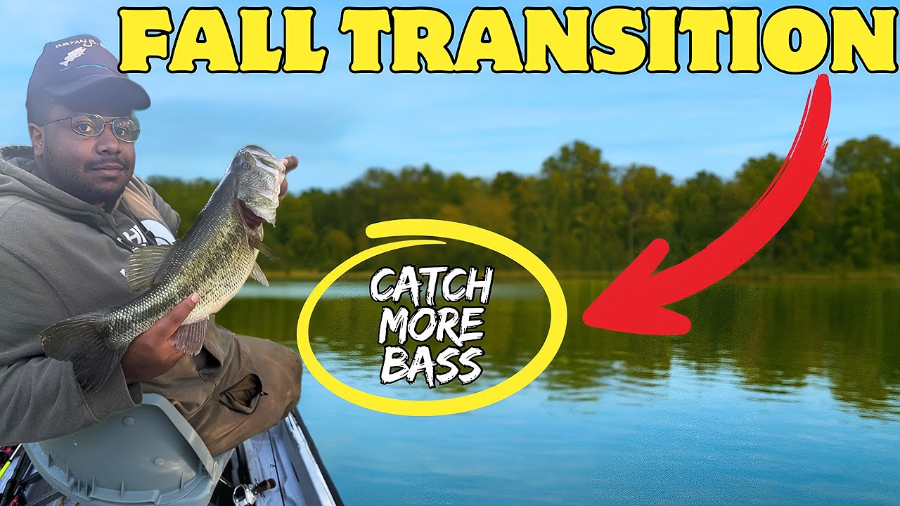 Bass Can’t Resist These Lures! Fall Transition Bass Fishing Tips