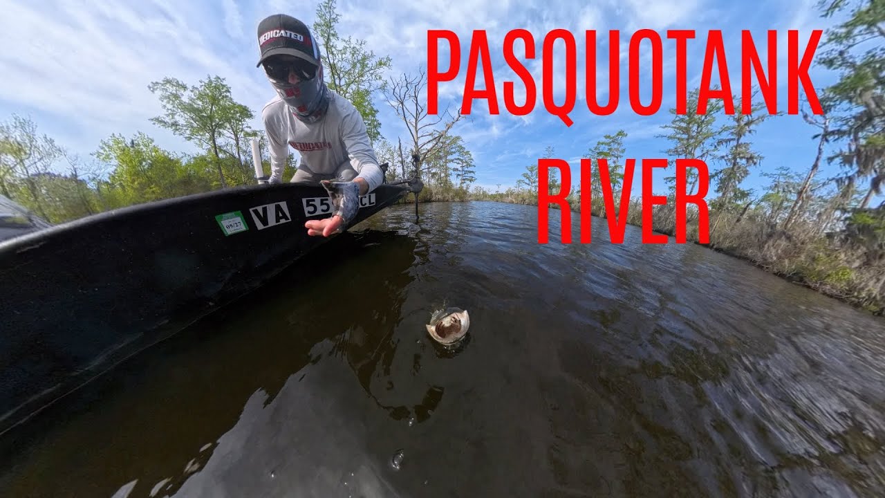 Fishing the Pasquotank River