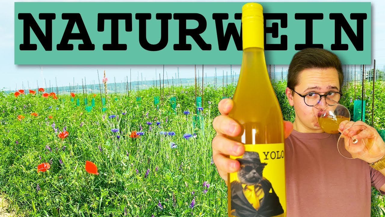 Naturwein erkl&auml;rt: Was der Hipster dir nicht verr&auml;t!