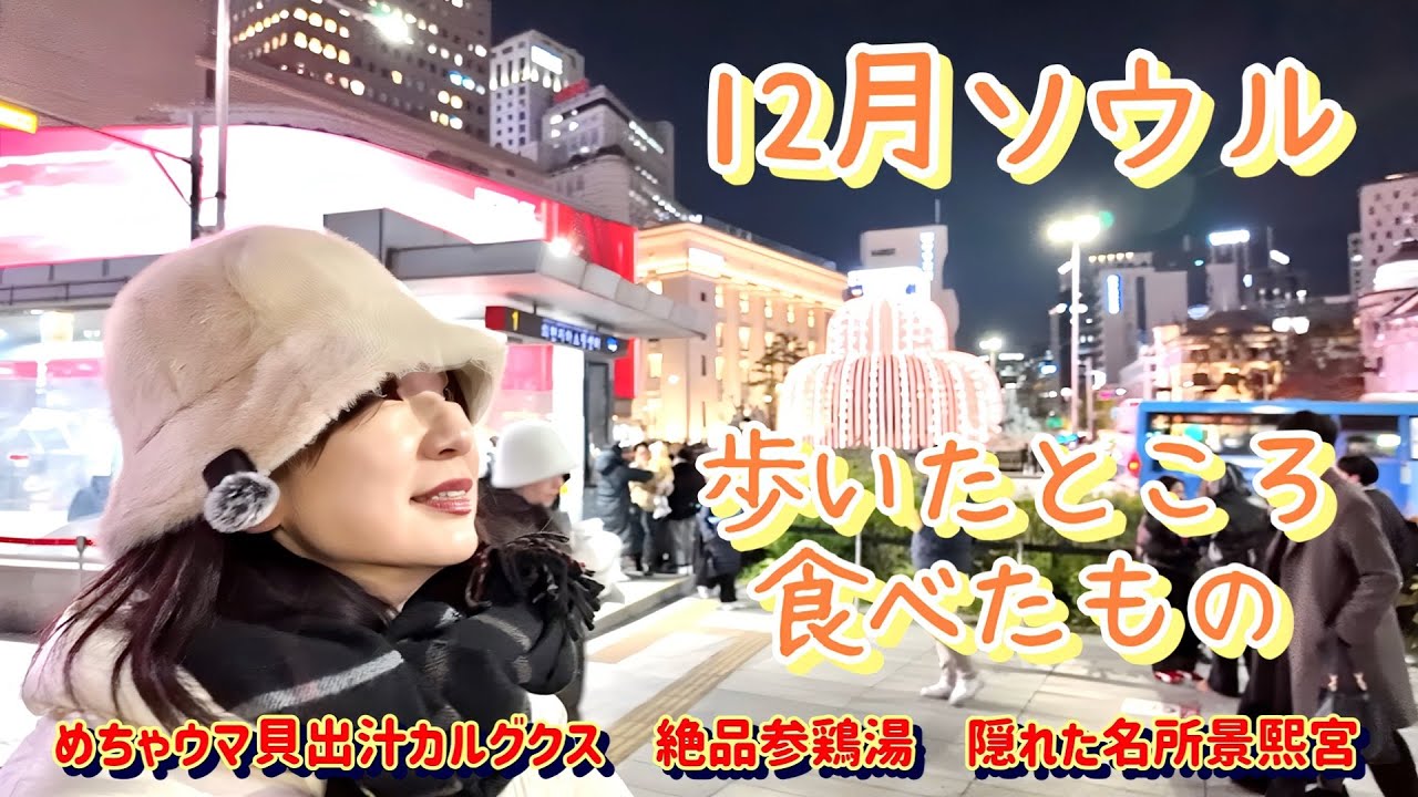【ソウル・市庁駅・グルメ】食べたお店がとても良かったので紹介したい/定番の新世界百貨店のイルミネーションを見に行った/寒い冬のソウル３日間/50代夫婦
