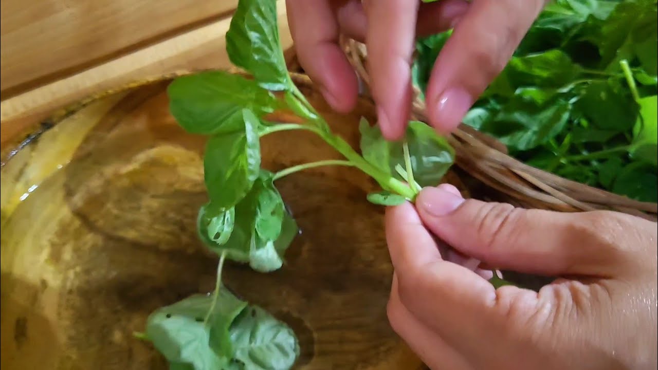 Mabisang Paraan ng Pag-aalis ng Bakterya sa mga Gulay at Prutas|lualhati mapilot