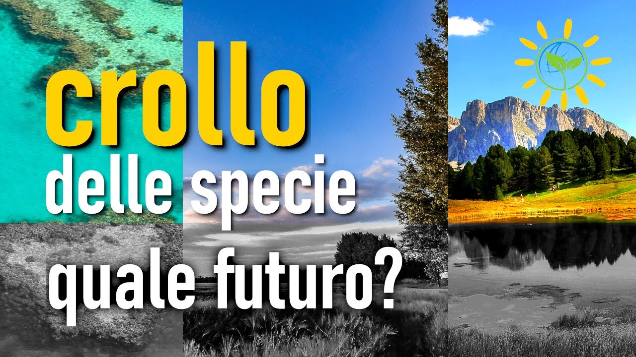🐝 Crollo delle specie e sostenibilit&agrave; - Emergenza ecologica | Biodiversit&agrave; in crisi