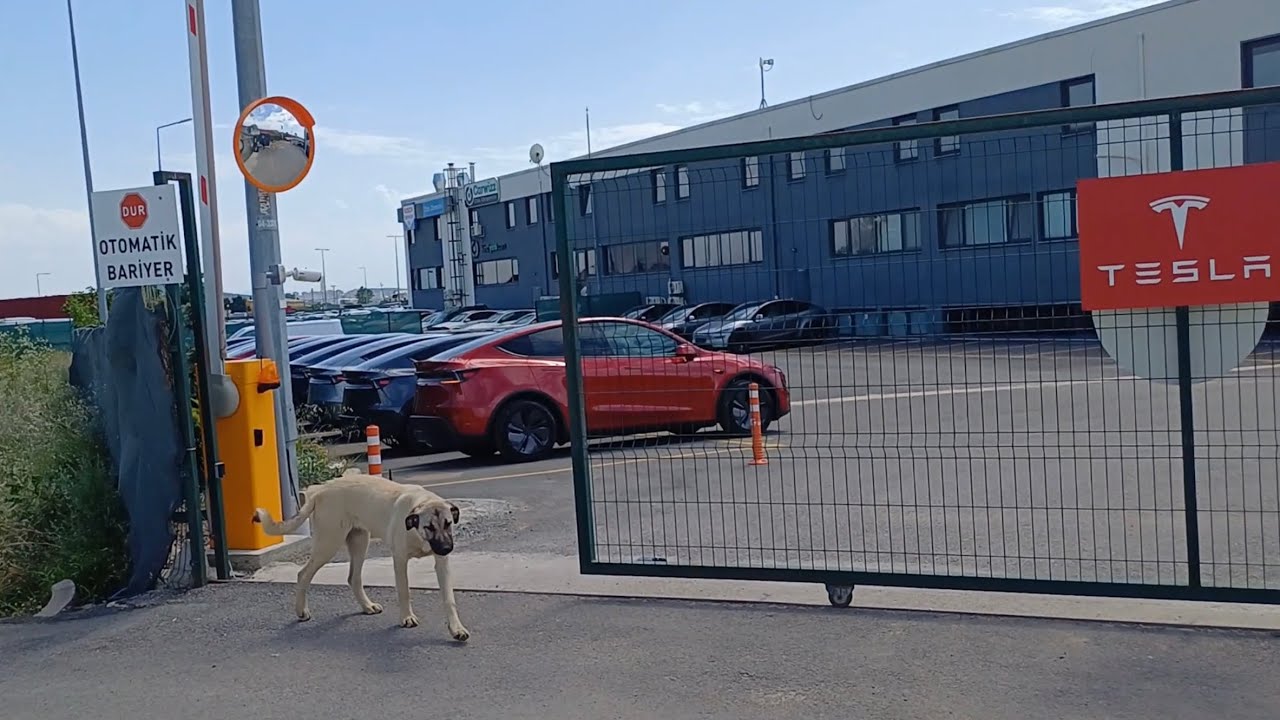 Metrob&uuml;sle Tesla Almaya Gittik! | Yeni Tesla Model Y SR Quicksilver (Juniper) Teslimat