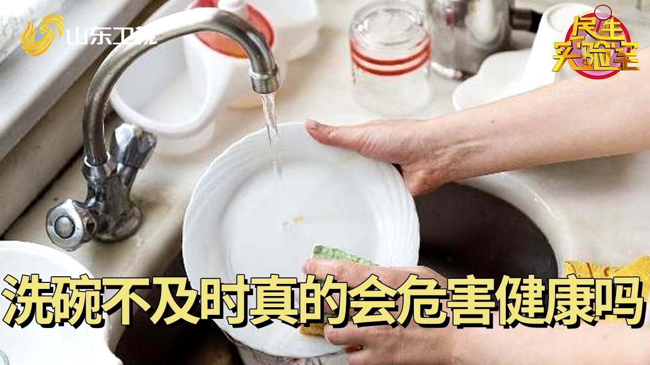 洗碗不及时真的会危害健康吗 #民生实验室