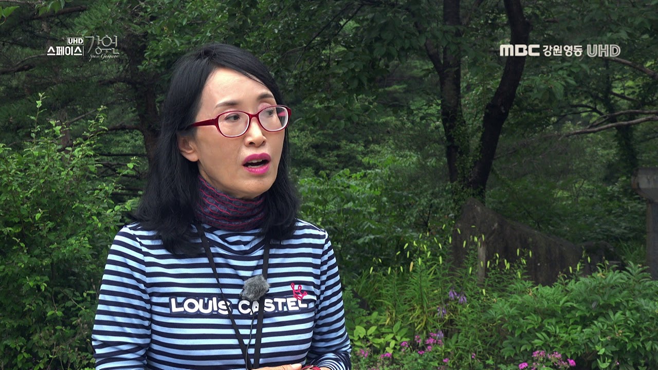 [스페이스강원] 무릉계곡