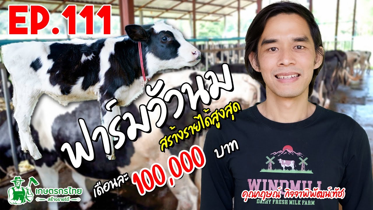 วิศวกรหันมาทำฟาร์มวัวนม สร้างรายได้สูงสุด เดือนละ 100,000 บาท l Ep111 เกษตรกรไทยสร้างรายได้