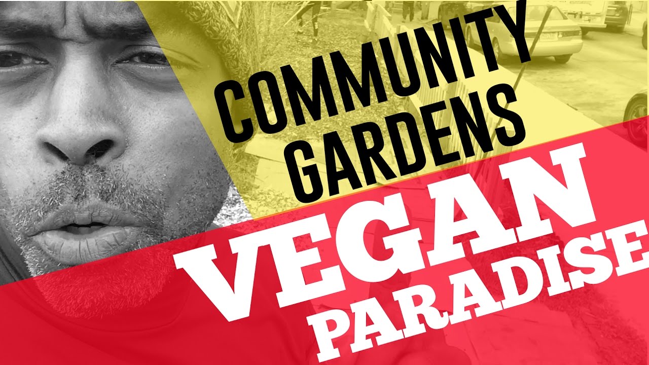 COMMUNITY GARDENS...VEGAN LOVE!