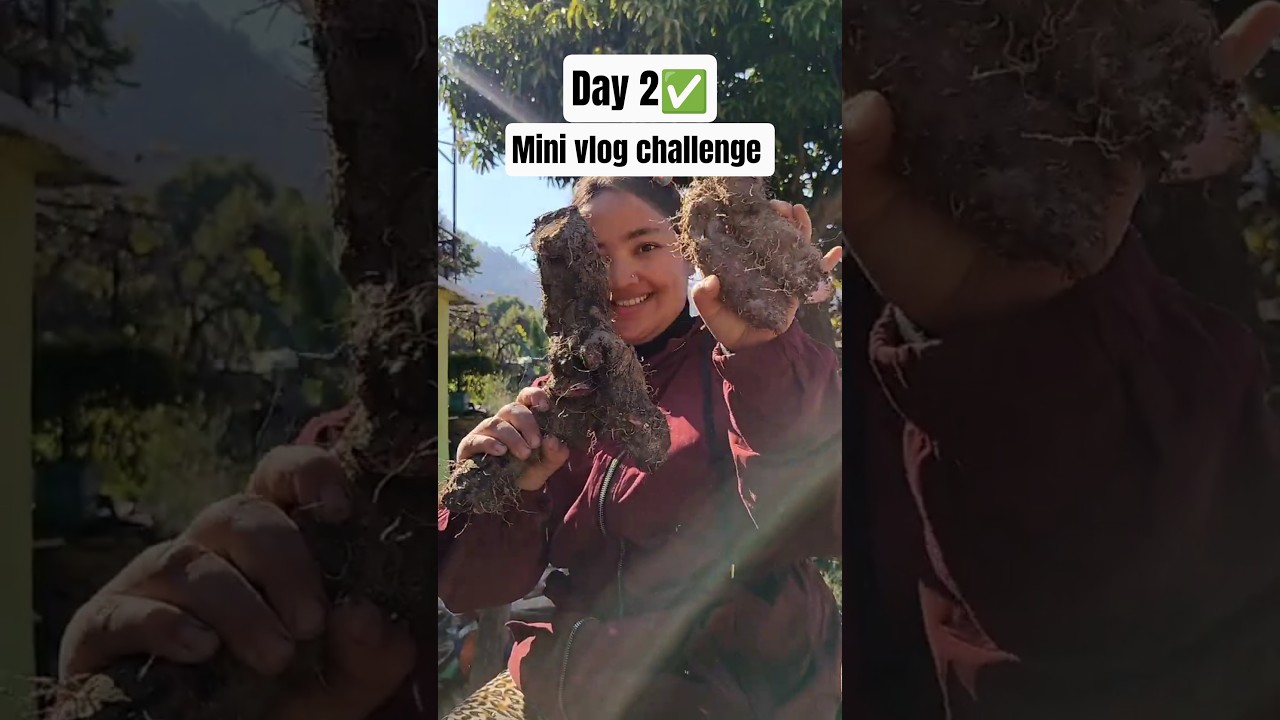 #day