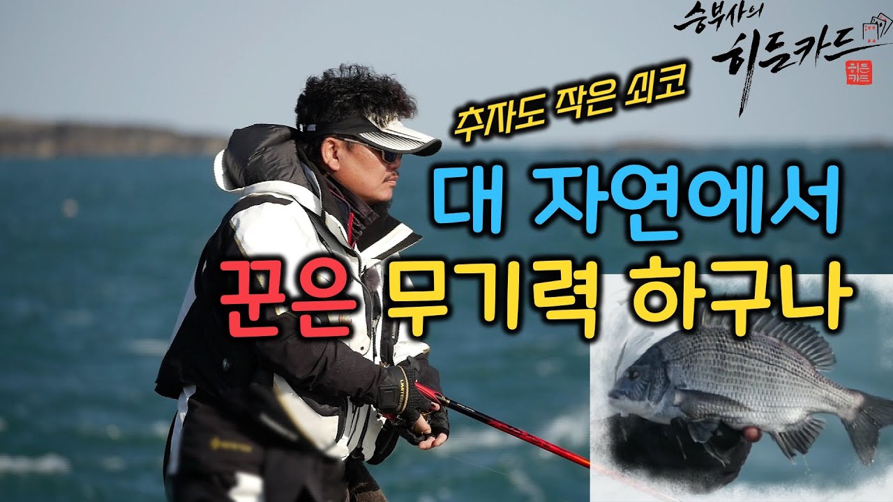 추자도 작은 쇠코의 배신!  - 