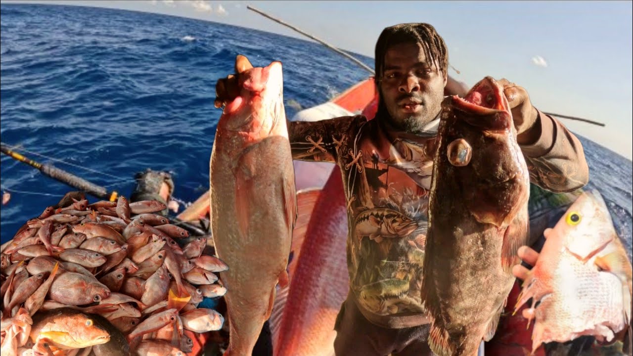 Целый день я платил налоги хищникам.