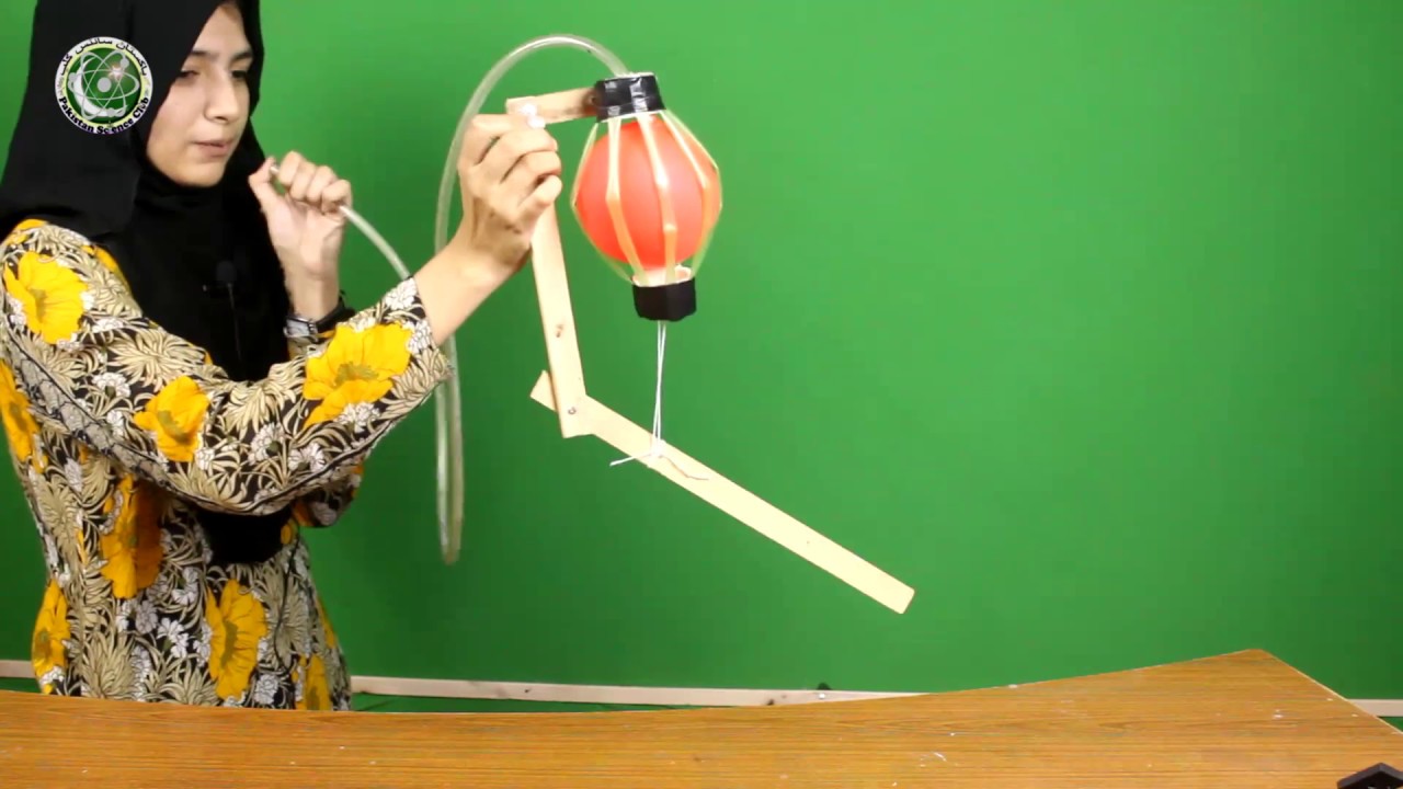 Working Model of Arm and muscles