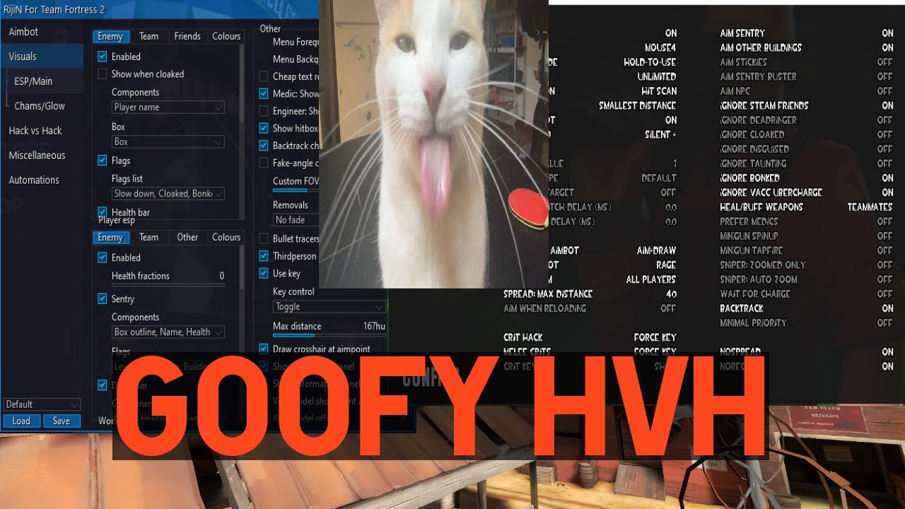 Silly TF2 HvH (RijiN vs Fware) (Lbox vs Nullcore)