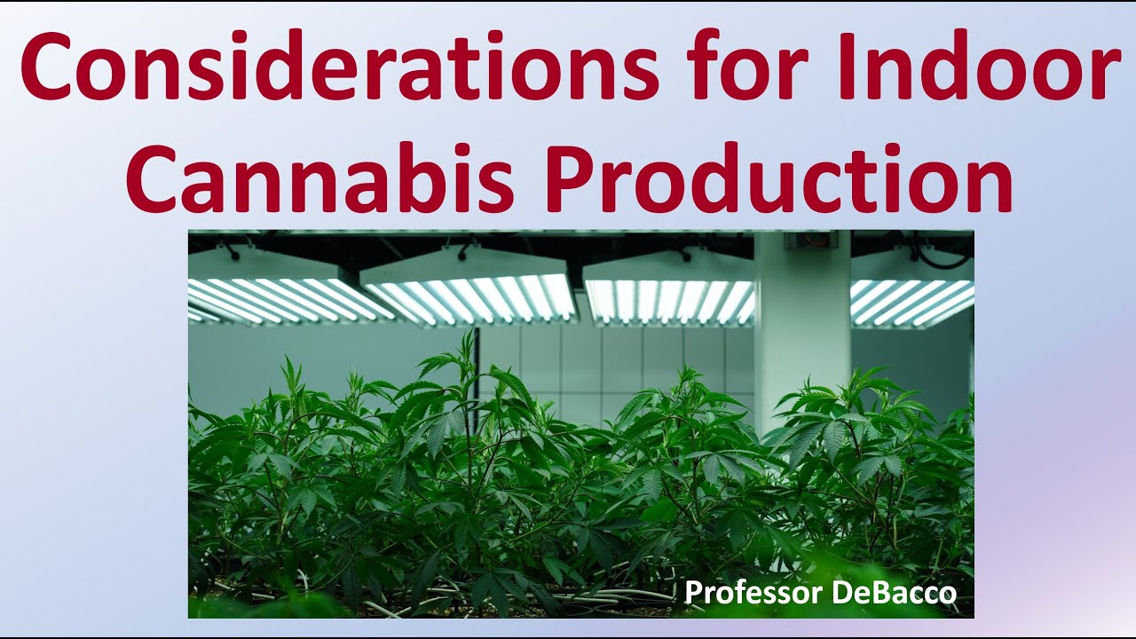 Considerations for Indoor Cannabis Production