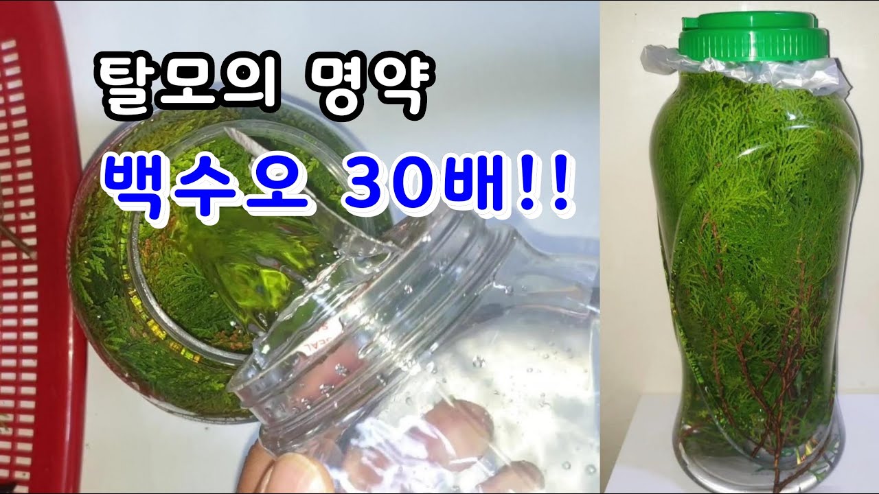 이것을 몇 번 뿌리기만 했는데 머리털이 굵어지고 빼곡하게 자라났다