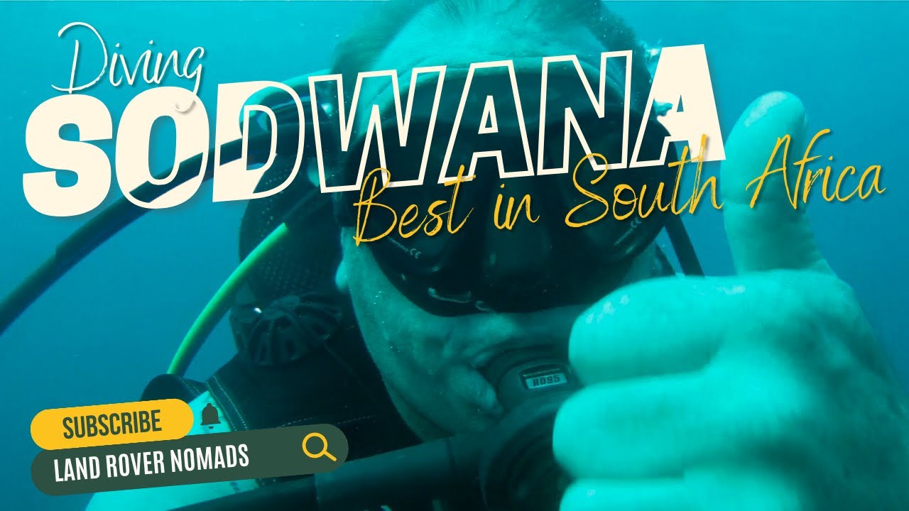 What's the Best Diving in South Africa? Sodwana Bay, of Course!
