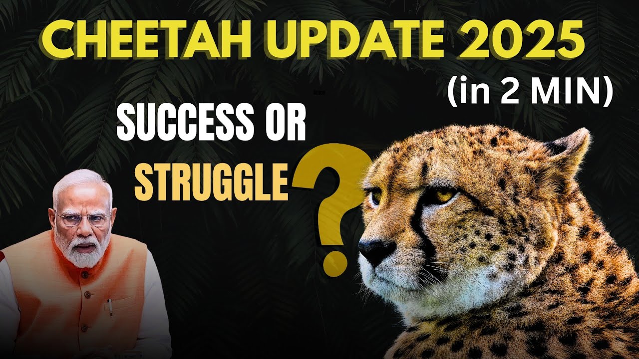 India&rsquo;s Big Wildlife Gamble 🐆 | Project Cheetah Update 2025 Full Story in 2 min| Deaths & Future