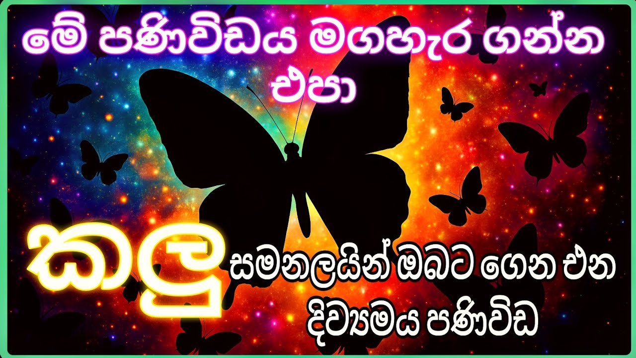 කලු සමනලයින් ගෙන එන පණිවිඩ 🦋 Black Butterfly Sinhala messages #sinhala #astrology #angelnumbers